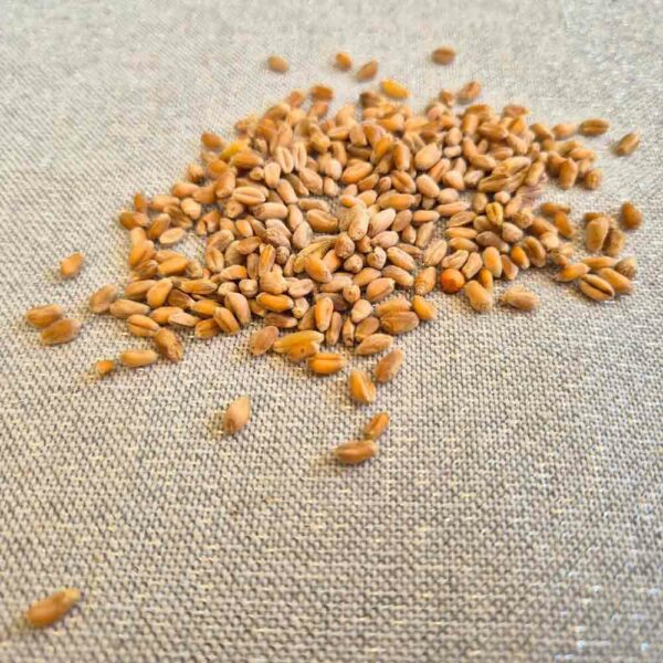 Pink Flamingo Dry Water Bottle