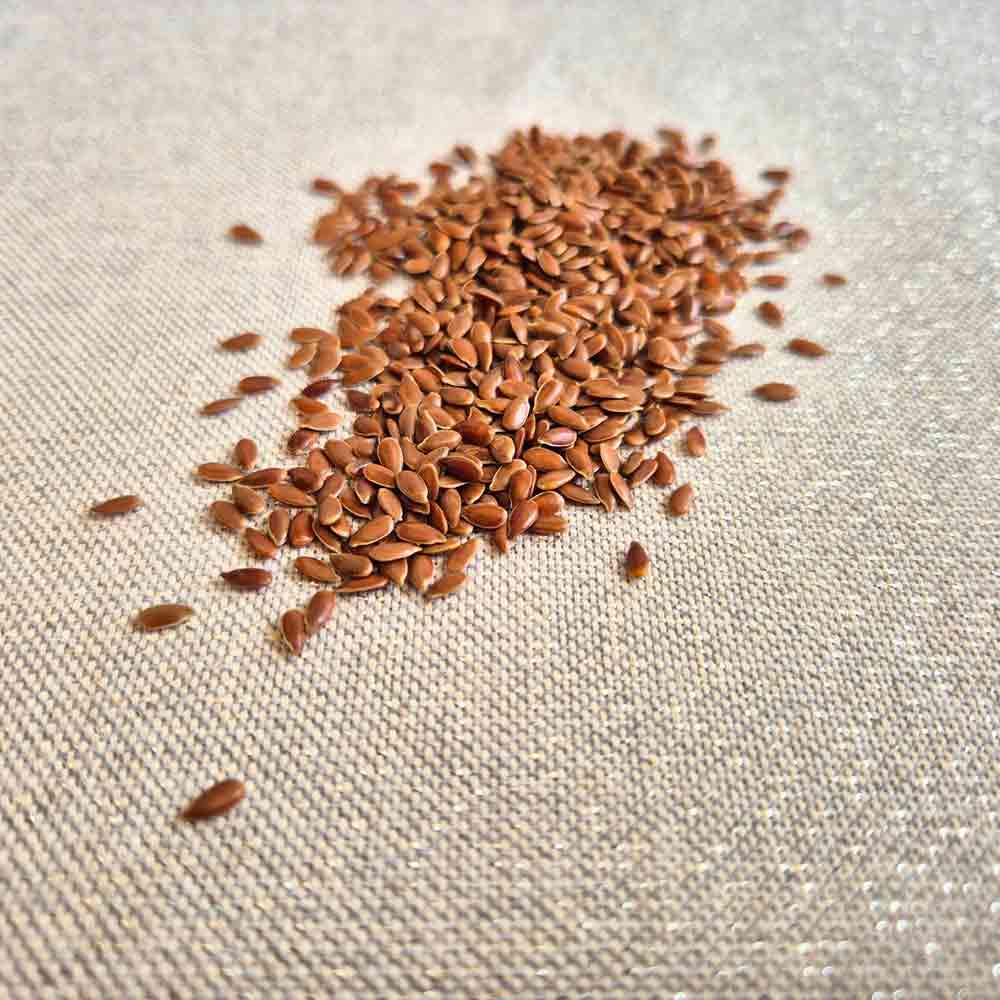 Pink Flamingo Dry Water Bottle - Image 3