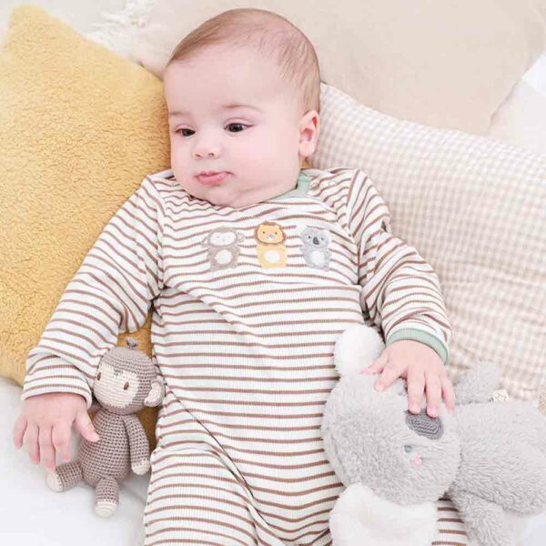 Cuddle Me Kodi Koala