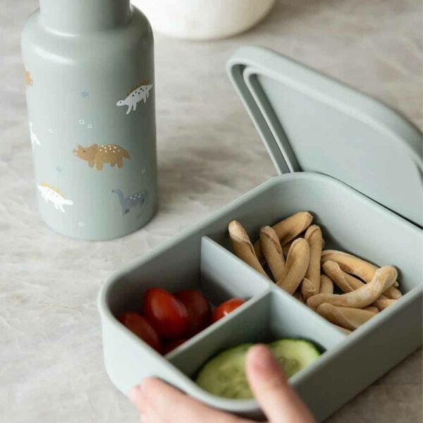 Lunch box silicone dino vert