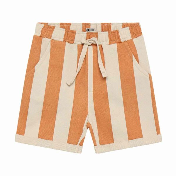 Big Stripe Shorts