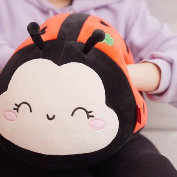 Ladybug Cushion