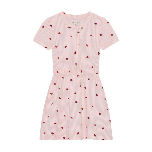 Ladybug Dress