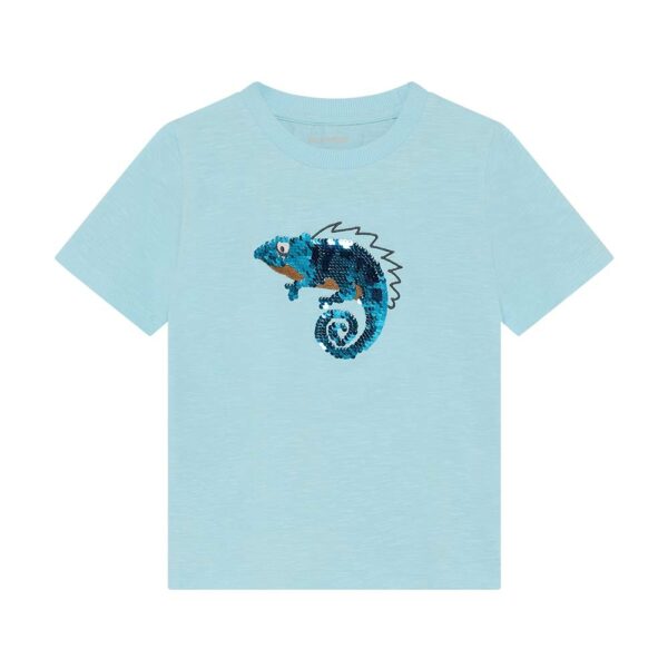 Chameleon sequin T-shirt