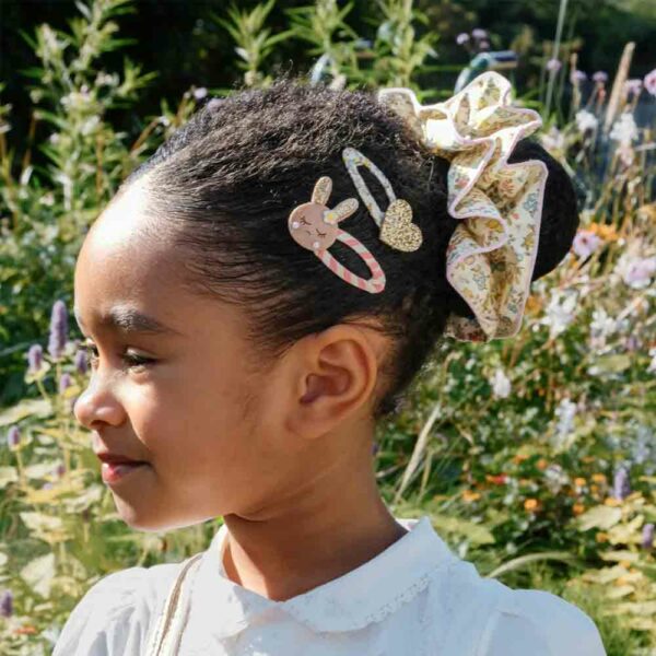 Barrettes Stripy Bunny Clips