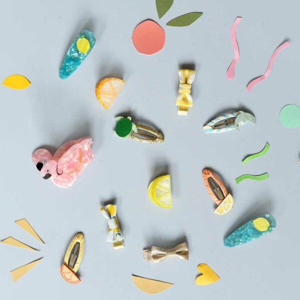 Barrettes Turtle and Dolfin Clips