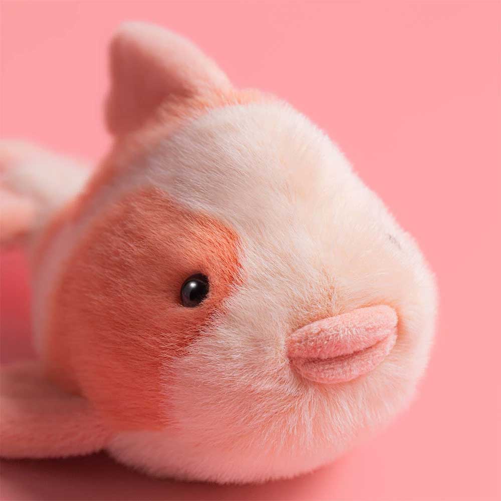 Fancy Carp – Image 2