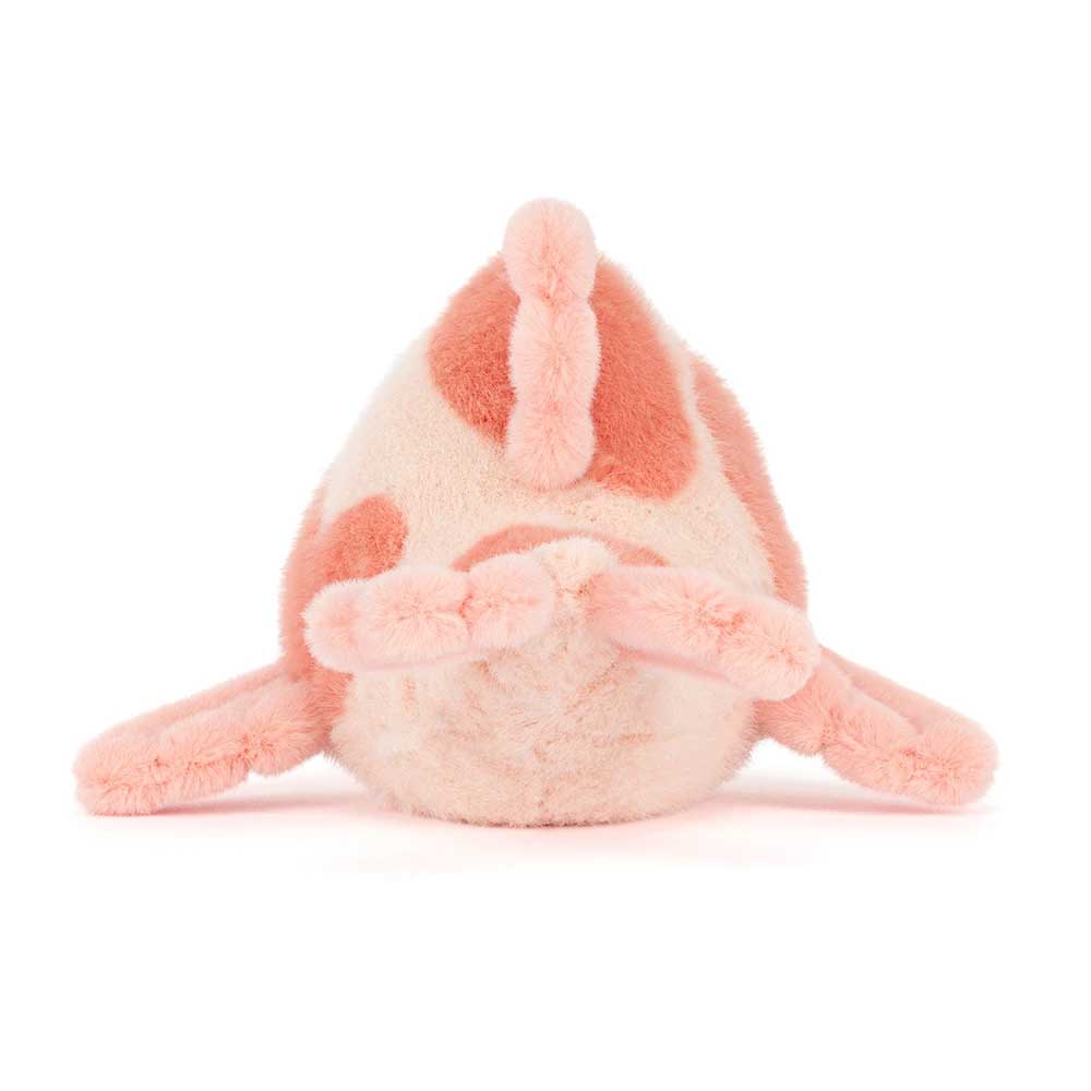 Fancy Carp – Image 4