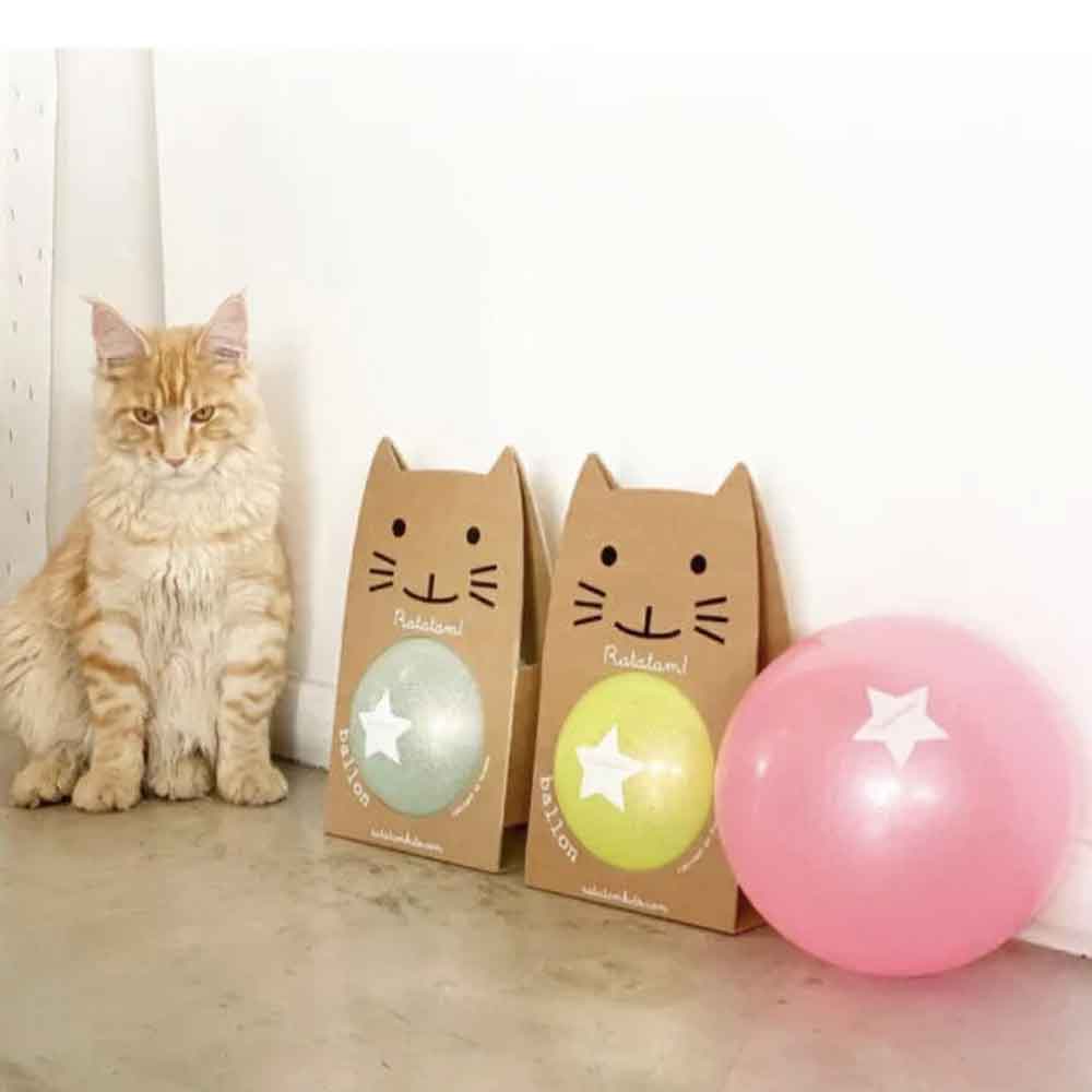 Ballon chat summer pailleté argent 15cm – Image 3