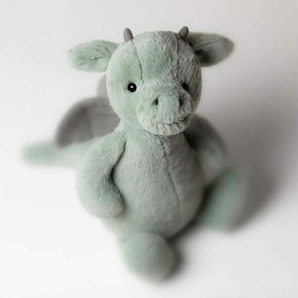 Bashful Dragon Little
