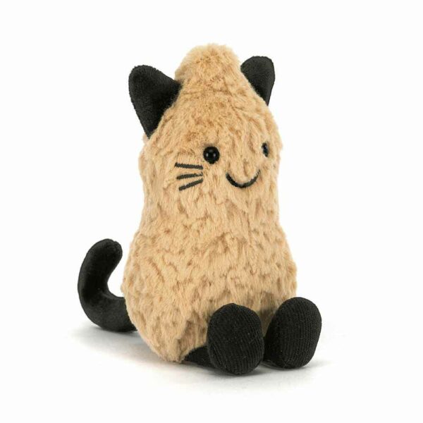 Fun Peanut Cat