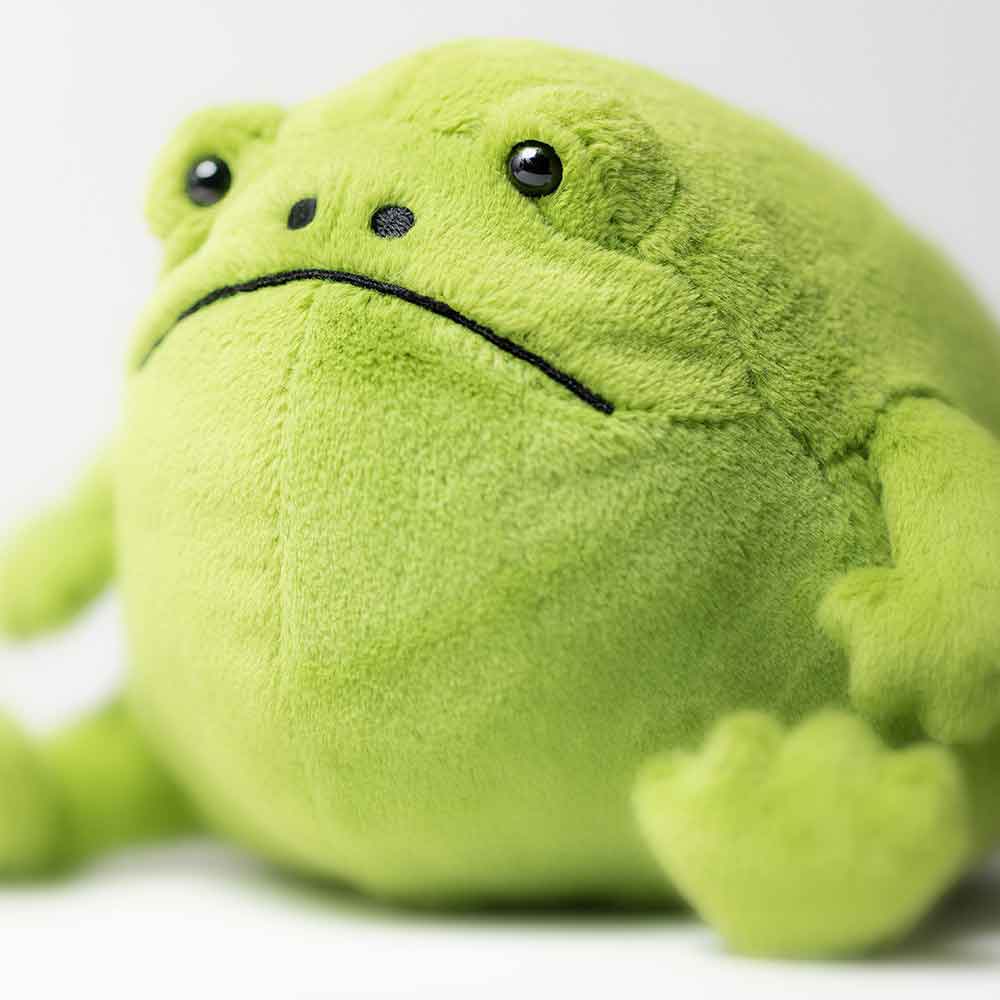 Ricky Rain Frog – Image 2