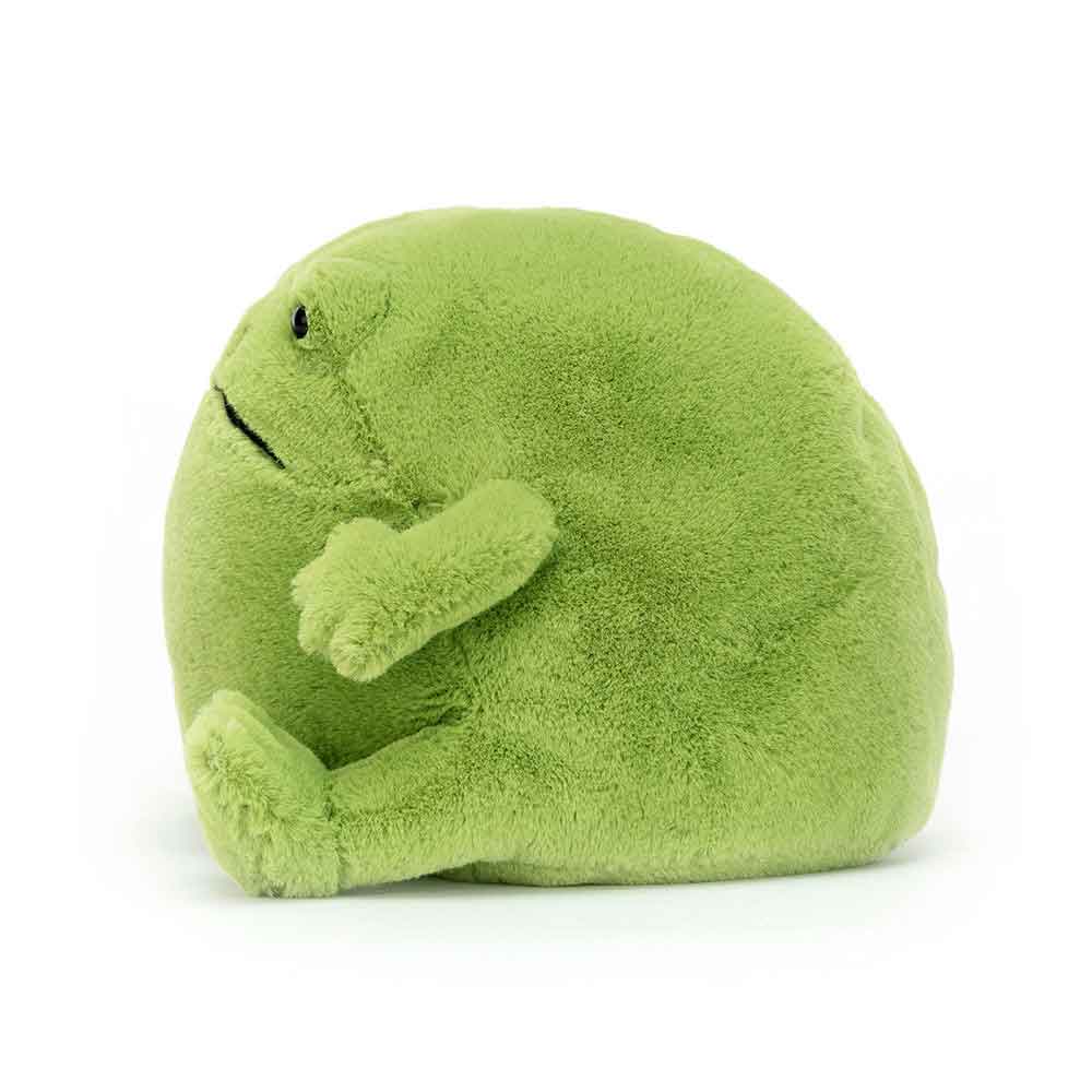 Ricky Rain Frog – Image 3