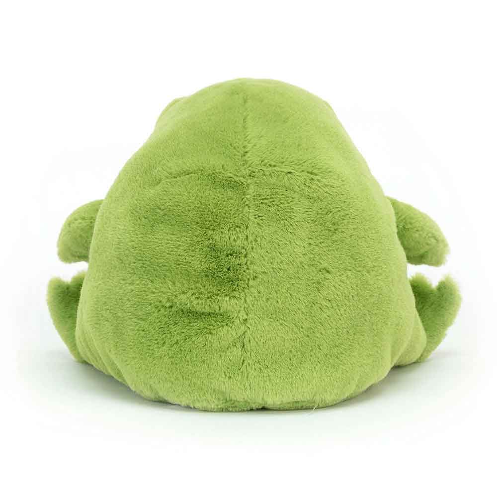 Ricky Rain Frog – Image 4