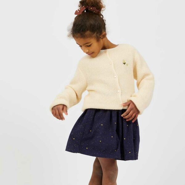 Star Skirt
