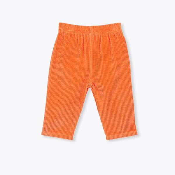 Orange velvet baby pants