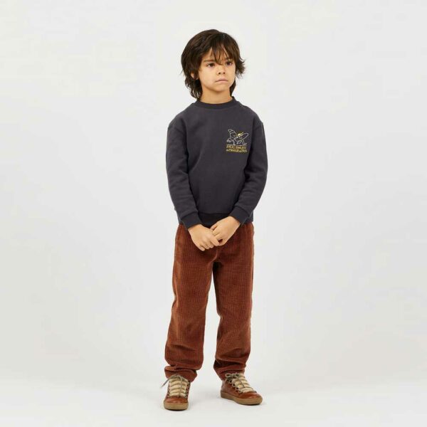 Velvet trousers