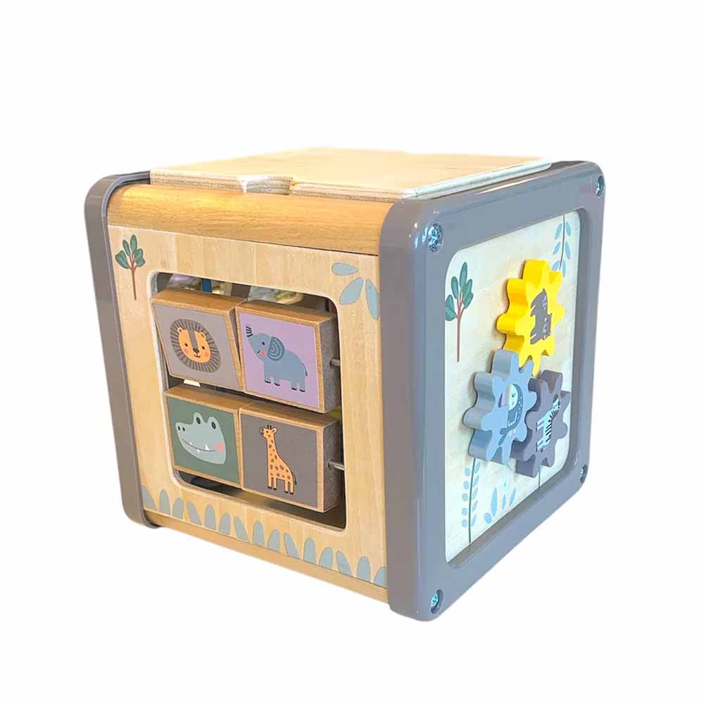 Wooden Activity Cube