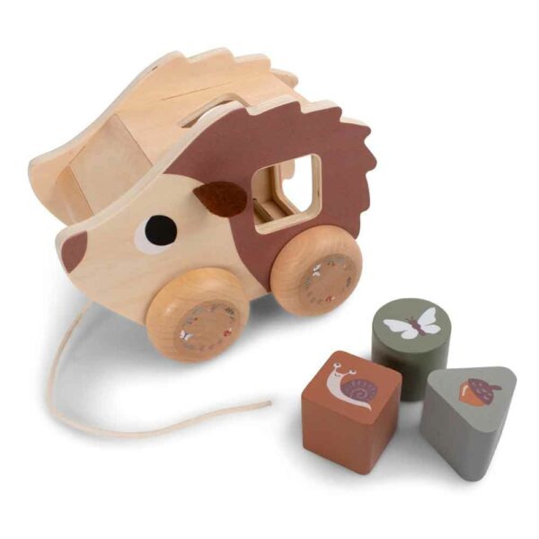 Pulling hedgehog with shape sorter