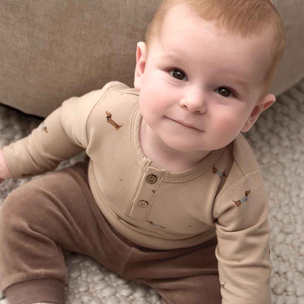 Bodysuit Dachshund Sweatshirt - Image 2