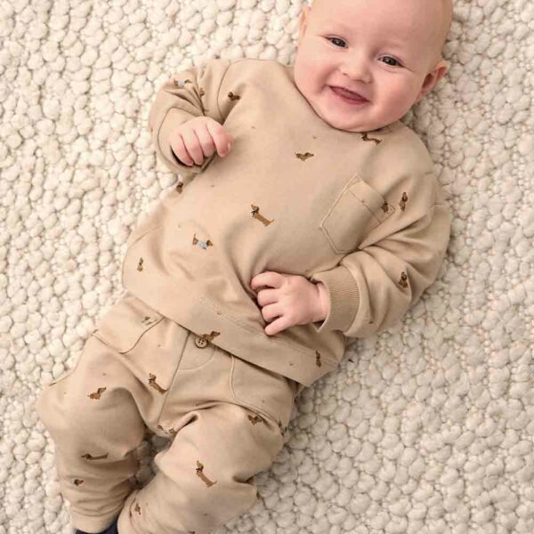 Dachshund sweatshirt baby pants