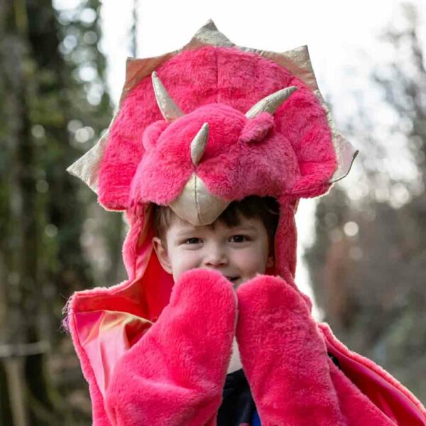 Cape Toddler Triceratops Cuddle