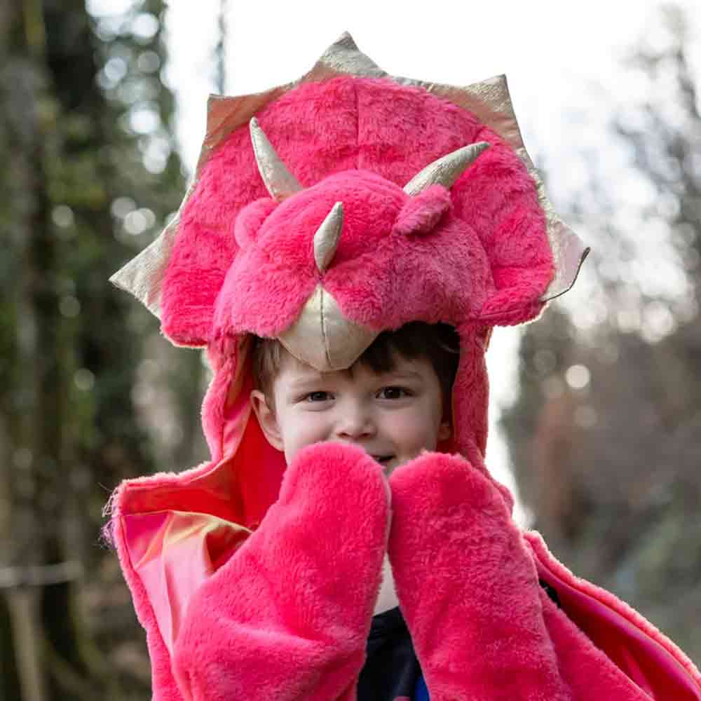 Cape Toddler Triceratops Cuddle - Image 2