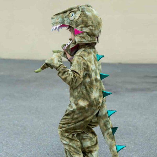 Toddler a Land Before Mine Deluxe Raptor