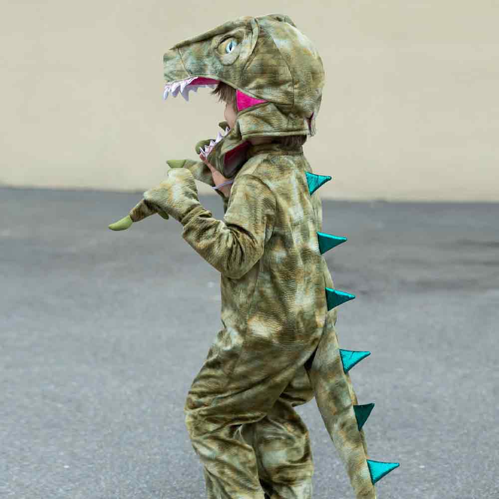 Toddler a Land Before Mine Deluxe Raptor - Image 2