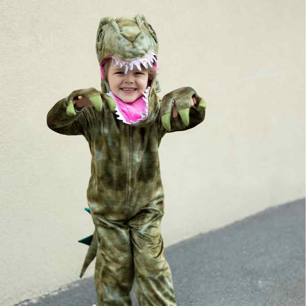 Toddler a Land Before Mine Deluxe Raptor - Image 3