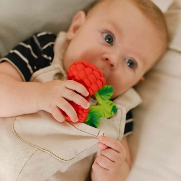 Valery the Raspberry