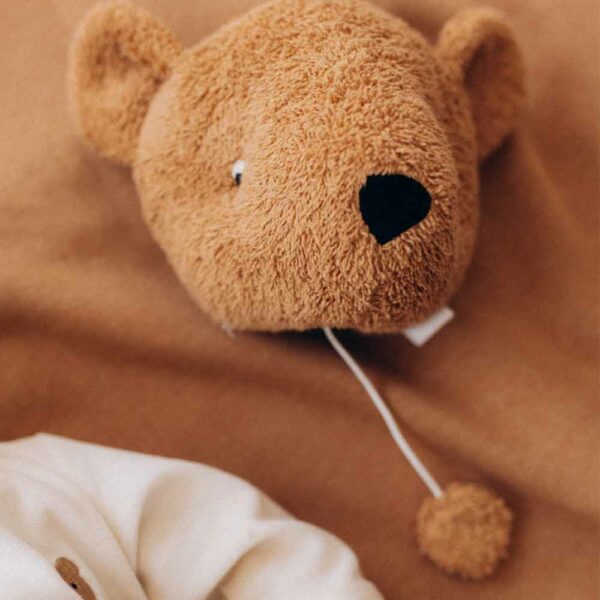 Caramel Teddy Music Box
