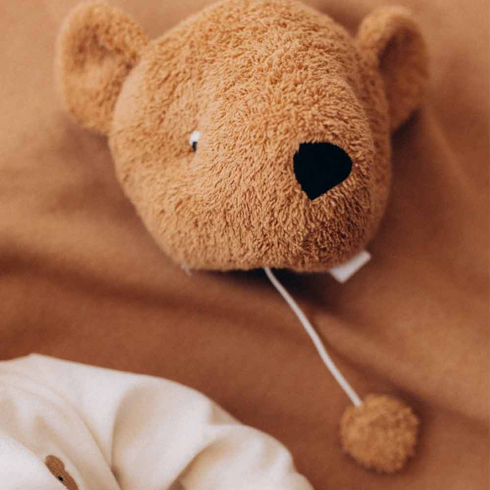 Caramel Teddy Music Box - Image 2