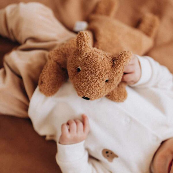 Caramel Teddy hot water bottle