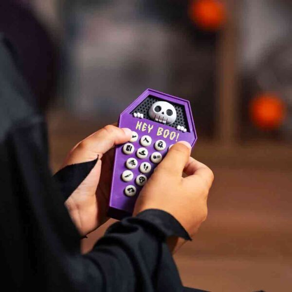 Boite sonore Cercueil