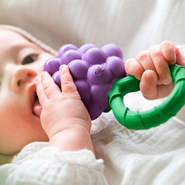Hochet Grape Rattle